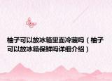 柚子可以放冰箱里面冷藏嗎（柚子可以放冰箱保鮮嗎詳細(xì)介紹）