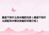 桑葚干和什么泡水喝的功效（桑葚干和什么搭配泡水喝功效最好詳細(xì)介紹）