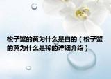 梭子蟹的黃為什么是白的（梭子蟹的黃為什么是稀的詳細介紹）