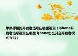 蘋果手機(jī)的開發(fā)者選項(xiàng)在哪里設(shè)置（iphone開發(fā)者選項(xiàng)設(shè)置在哪里 iphone怎么開啟開發(fā)者模式介紹）