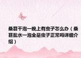 桑葚干泡一晚上有蟲(chóng)子怎么辦（桑葚鹽水一泡全是蟲(chóng)子正常嗎詳細(xì)介紹）
