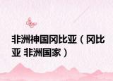 非洲神國岡比亞（岡比亞 非洲國家）