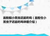面粉起小黑蟲還能吃嗎（面粉生小黑蟲子還能吃嗎詳細(xì)介紹）