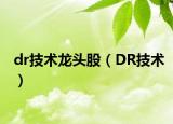 dr技術龍頭股（DR技術）