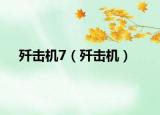 殲擊機(jī)7（殲擊機(jī)）