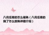 八月瓜青的怎么催熟（八月瓜青的摘了怎么放熟詳細(xì)介紹）