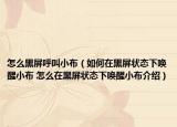 怎么黑屏呼叫小布（如何在黑屏狀態(tài)下喚醒小布 怎么在黑屏狀態(tài)下喚醒小布介紹）