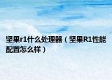 堅果r1什么處理器（堅果R1性能配置怎么樣）