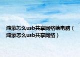 鴻蒙怎么usb共享網(wǎng)絡(luò)給電腦（鴻蒙怎么usb共享網(wǎng)絡(luò)）
