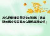 怎么把健康碼黃碼變成綠碼（健康碼黃碼變綠碼要怎么操作詳細(xì)介紹）