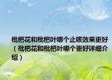 枇杷花和枇杷葉哪個止咳效果更好（枇杷花和枇杷葉哪個更好詳細介紹）