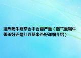 濕熱喝牛蒡茶會(huì)不會(huì)更嚴(yán)重（濕氣重喝牛蒡茶好還是紅豆薏米茶好詳細(xì)介紹）