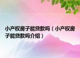 小產(chǎn)權(quán)房子能貸款嗎（小產(chǎn)權(quán)房子能貸款嗎介紹）