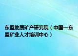 東盟地質(zhì)礦產(chǎn)研究院（中國(guó)—東盟礦業(yè)人才培訓(xùn)中心）