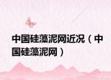 中國硅藻泥網(wǎng)近況（中國硅藻泥網(wǎng)）