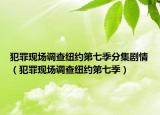 犯罪現(xiàn)場(chǎng)調(diào)查紐約第七季分集劇情（犯罪現(xiàn)場(chǎng)調(diào)查紐約第七季）