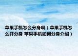 蘋果手機怎么分身?。ㄌO果手機怎么開分身 蘋果手機如何分身介紹）