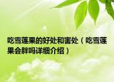 吃雪蓮果的好處和害處（吃雪蓮果會(huì)胖嗎詳細(xì)介紹）
