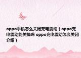oppo手機(jī)怎么關(guān)閉充電震動(dòng)（oppo充電震動(dòng)能關(guān)掉嗎 oppo充電震動(dòng)怎么關(guān)閉介紹）