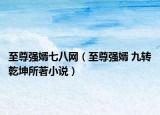 至尊強婿七八網(wǎng)（至尊強婿 九轉(zhuǎn)乾坤所著小說）