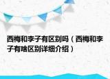 西梅和李子有區(qū)別嗎（西梅和李子有啥區(qū)別詳細(xì)介紹）