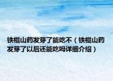 鐵棍山藥發(fā)芽了能吃不（鐵棍山藥發(fā)芽了以后還能吃嗎詳細(xì)介紹）