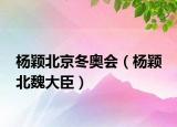 楊穎北京冬奧會(huì)（楊穎 北魏大臣）