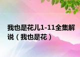 我也是花兒1-11全集解說（我也是花）