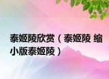 泰姬陵欣賞（泰姬陵 縮小版泰姬陵）