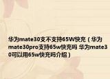 華為mate30支不支持65W快充（華為mate30pro支持65w快充嗎 華為mate30可以用65w快充嗎介紹）