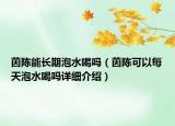 茵陳能長期泡水喝嗎（茵陳可以每天泡水喝嗎詳細(xì)介紹）