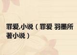 罪愛(ài),小說(shuō)（罪愛(ài) 羽墨所著小說(shuō)）