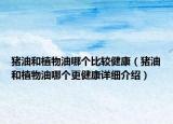 豬油和植物油哪個比較健康（豬油和植物油哪個更健康詳細介紹）