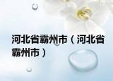 河北省霸州市（河北省霸州市）