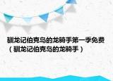 馴龍記伯克島的龍騎手第一季免費(fèi)（馴龍記伯克島的龍騎手）