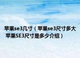 蘋果se3幾寸（蘋果se3尺寸多大 蘋果SE3尺寸是多少介紹）