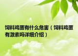 飼料雞蛋有什么危害（飼料雞蛋有激素嗎詳細(xì)介紹）