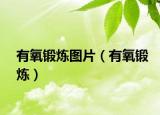 有氧鍛煉圖片（有氧鍛煉）