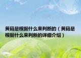 黃碼是根據(jù)什么來判斷的（黃碼是根據(jù)什么來判斷的詳細(xì)介紹）