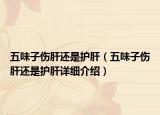 五味子傷肝還是護(hù)肝（五味子傷肝還是護(hù)肝詳細(xì)介紹）