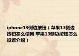 iphone13側(cè)邊按鈕（蘋果13側(cè)邊按鈕怎么使用 蘋果13側(cè)邊按鈕怎么設置介紹）