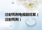 注射死刑電視劇花絮（注射死刑）