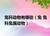 兔科動(dòng)物有哪些（兔 兔科兔屬動(dòng)物）