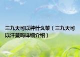 三九天可以種什么菜（三九天可以汗蒸嗎詳細(xì)介紹）