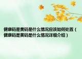 健康碼是黃碼是什么情況應(yīng)該如何處置（健康碼是黃碼是什么情況詳細介紹）