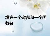 填充一個雜志和一個函數(shù)名