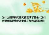 為什么健康碼無緣無故變成了黃色（為什么健康碼無緣無故變成了紅色詳細(xì)介紹）