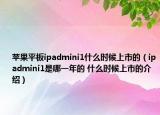 蘋果平板ipadmini1什么時候上市的（ipadmini1是哪一年的 什么時候上市的介紹）
