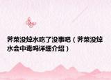 薺菜沒焯水吃了沒事吧（薺菜沒焯水會中毒嗎詳細(xì)介紹）
