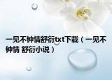 一見不鐘情舒衍txt下載（一見不鐘情 舒衍小說）